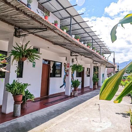 Shoffi'S House Backpackers Hotel Tarapoto Exterior photo